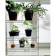 Rabberry for seedlings 33 × 62 × 93 cm, white