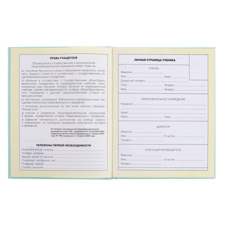 Diary for grades 1-4, solid cover "Girls", matte lamination, selective varnish, block 60 g/m2-5