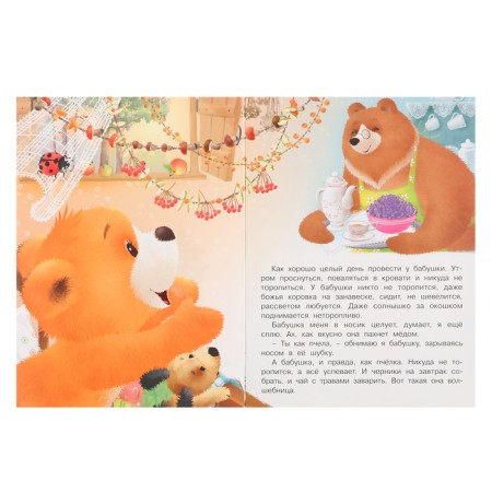 Мишка и его семья. Бабушкино сокровище, 16 стр.-1