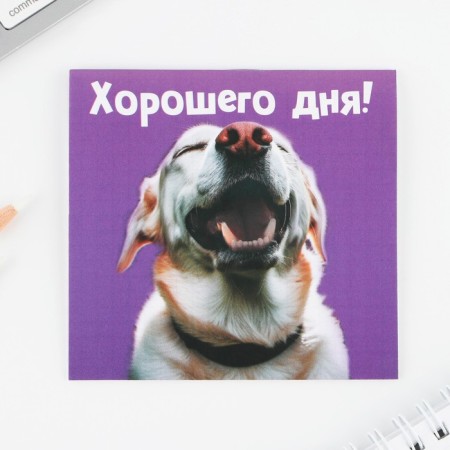 Блокнот 10х10, 16 листов МИКС «Животные»-2
