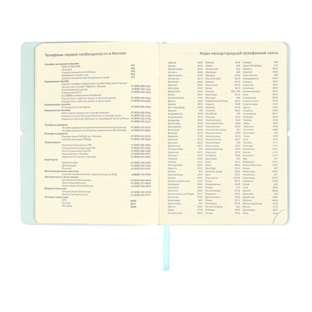 Diary of Leduced A5 136 DEVENTE sheets. Jane, soft pvc cover, elastic band, perforation, liesse, block 70, blue-10