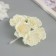 Decor for creativity "Camellia" milk (1 set = 1 bouquet) in the bouquet 6 pcs 4x11 cm