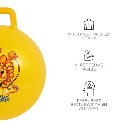 The bunch of a jump with a handle Zabiaka, D = 55 cm, 420 g, Mix color-2