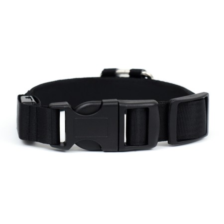 Collar with flash light 3 lumber modes Size S, Osh 35-43 x 2.5 cm blue-5