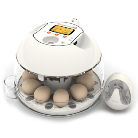 Incubator, 10 eggs, automatic coup, 120 V, rcom