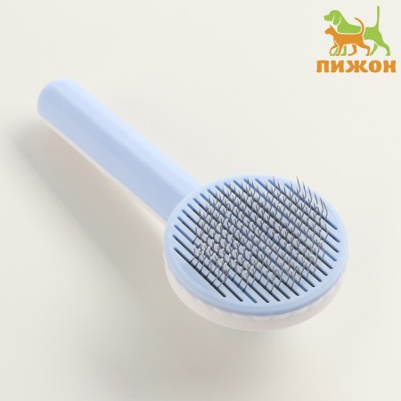 Pucrhester plastic with self -cleaning function, 7.7 x 19.1 cm, blue