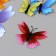 Magnet Plastic "Bright butterflies" set 12 pcs