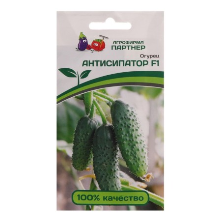 Seeds Cucumber Parthenocarpic "Antisipator" F1, 5 pcs.