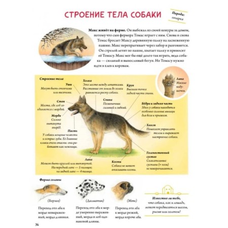 My most beautiful book about cats and dogs. Rikha S.-5