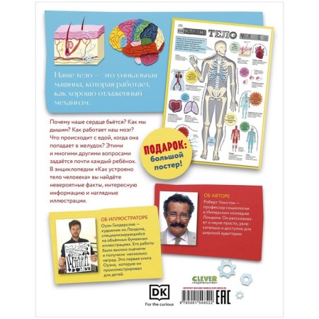 How the human body works. A colorful guide to our body. Winston Robert-1