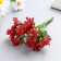 Decor for creativity "Apple" mix 11 cm (1 set = 1 bouquet) in a bouquet of 12 colors