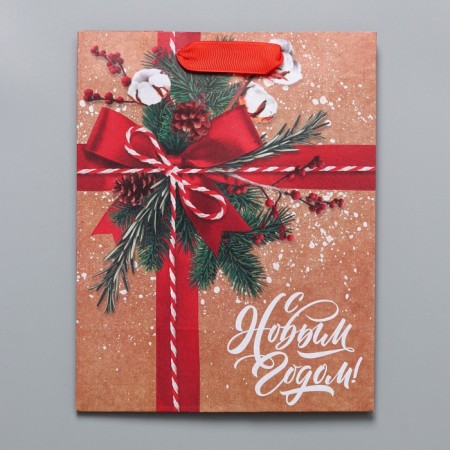 Craft vertical package “To you with a gift”, MS 18 x 23 x 10 cm, New Year-5