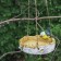 Hanging feeder "Sinichka on the stump" good souvenirs from the polystone, 17x8cm, on a rope