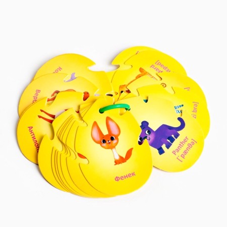 Cards on the ring for learning English "Dzhungly and Safari", 20 cards, ring, 3+-1