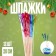 Swaps for Canapes "Holiday", set 12 pcs., Rain
