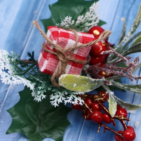 Decor "Winter Dreams" Gift to the Cell leaves of the berry, 20 cm-1