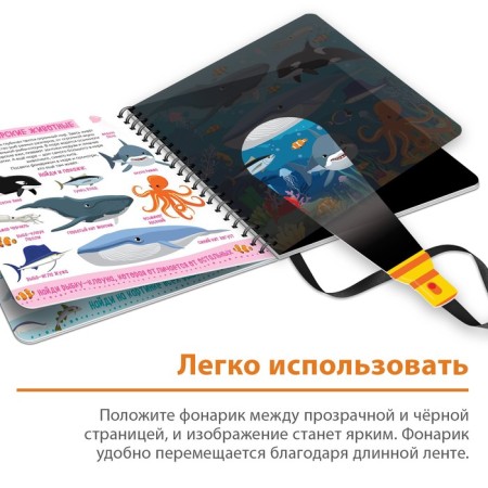 Secret book with a magic flashlight "Zoland", 22 p.-3