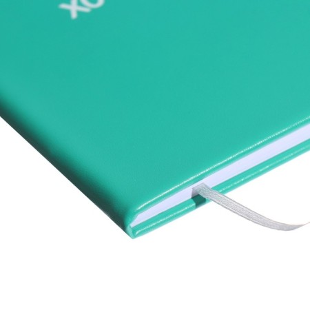 Universal diary for grade 1-11 Kitties, hard cover, artificial leather, silk-screen printing, Lyasse, 80 g/m2-2
