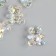 Busina Plastic for creativity "Bear" White mother of pearl 3.1x3x1.5 cm
