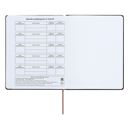 Universal diary for grades 1-11 "Geometry", solid cover of artificial leather, silkography, lies, 48 ​​sheets, brown-turquoise-14