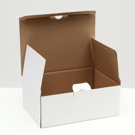 Penal box, white, 26 x 19 x 10 cm-1