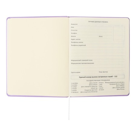 Universal diary for grade 1-11 Lovely Girl, solid cover, artificial leather, foam rubber, silk-screen printing, liesse, 80 g/m2-3