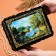 Casket "Forest Coast", 17 × 23 × 6 cm, lacquer miniature