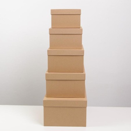 Set of boxes 5 in 1, gift packaging, Kraft, 22 x 14 x 8.5 - 32.5 x 20 x 12.5 cm-2