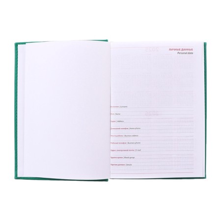 Deliciper of Leduced A5, 160 Vivevella sheets, artificial leather cover, light green-13