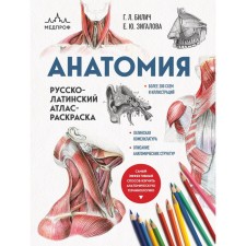 Anatomy. Russian-Latin atlas coloring. Bilich G.L., Zigalova E.Yu.