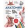 Anatomy. Russian-Latin atlas coloring. Bilich G.L., Zigalova E.Yu.