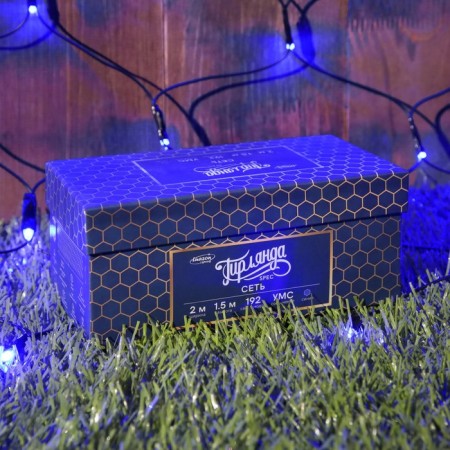 Garland "Network" 2 × 1.5 m, IP44, UMS, dark thread, 192 LED, glow blue, 220 V-3