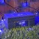 Garland "Network" 2 × 1.5 m, IP44, UMS, dark thread, 192 LED, glow blue, 220 V