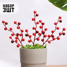 Set of plugs 
