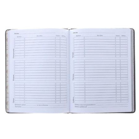 Universal diary for grades 1-11, 48 Velvet sheets, solid cover, artificial leather, thermoting, liesse, block 70 g/m2, gray-1