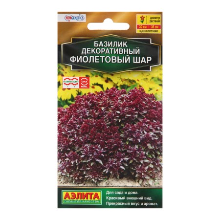 Flowers of the Basil decorative "Violet Ball", 10 pcs