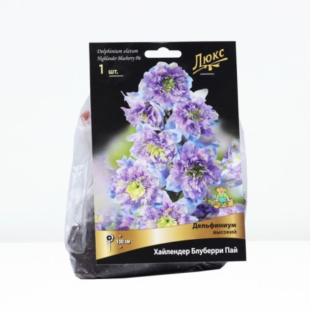 Delphinium High Highlander Blubertry Pai, Rr. I, 1 pc, spring 2025