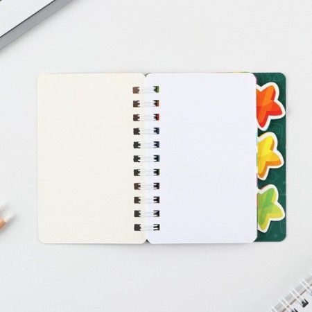 Notepad for graduation with dividers on the crest "Graduate of kindergarten" format A7, 40 sheets-1