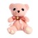 Soft toy "Bear", 20 cm, color mix