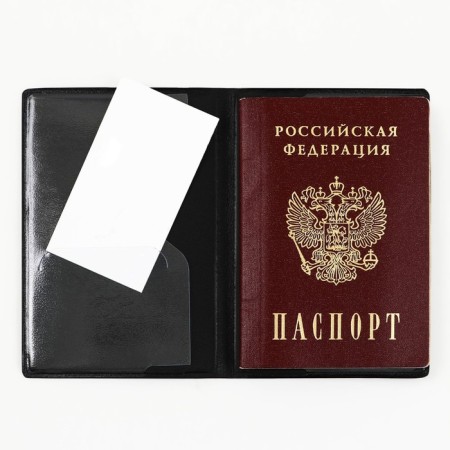 Cover for passport "Airplane", artificial leather-6