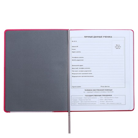 Universal Diary Grade 1-11, 48 sheets "Hare", a solid cover of artificial leather, silkography, OFSET block-7
