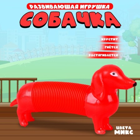 Developing toy "Dog", Mix Colors