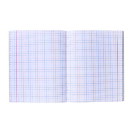 A notebook of 96 sheets in the Calligrata “Anime h/b” cage, cover shaking cardboard, matte lamination + selective UV-lak, block offset mix-1