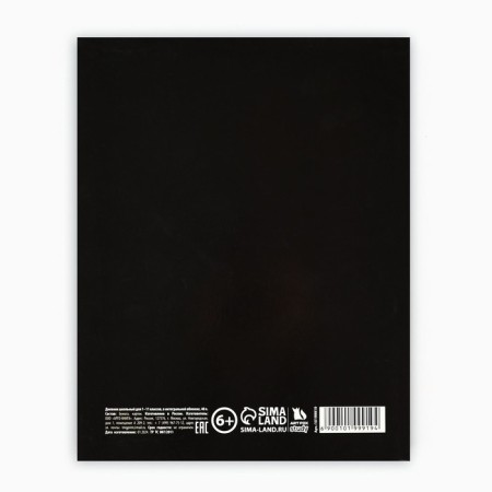 School diary for grade 1-11, in an integrated cover, 40 l. "Extreme Football"-4