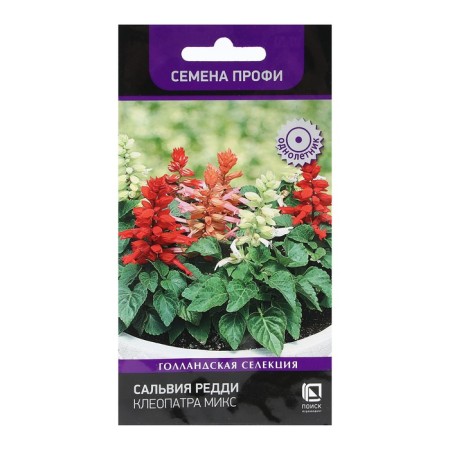 Flower seeds of Salvia Reddy "Cleopatra Mix" 10 pcs