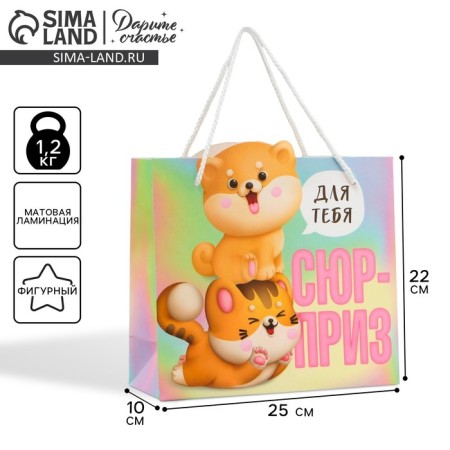 Gift package, packaging, "Surprise", 25 x 26 x 10 cm