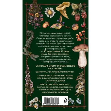 Forest guide. Mushrooms, berries, herbs. Pocket atlase disclosure. Semenova L.S.-1