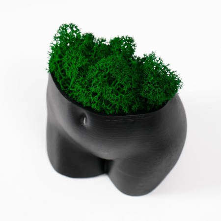 Kashpo concrete "innocent species" height 6.5cm, width 8.5 cm black with moss-4