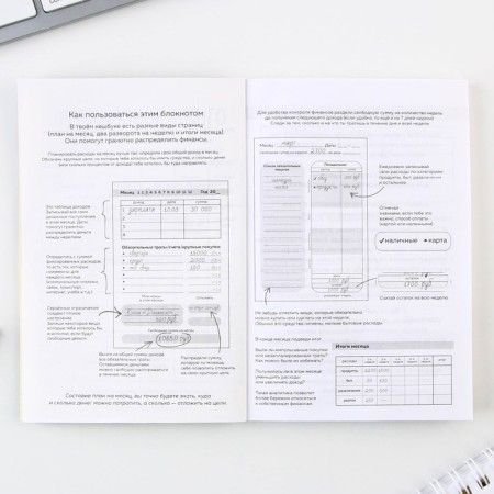 Smart notebook for Panda Finance planning, A6, 68 sheets format.-3