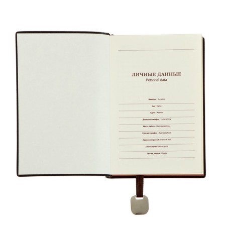 Deliciper of Leduced A6, 116 sheets in a cage, PVC cover, tinted slice, light cover, mix-5